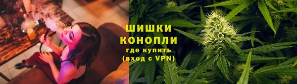 СК Зерноград
