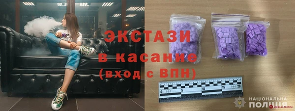 СК Зерноград