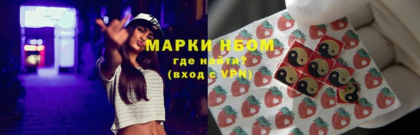 СК Зерноград
