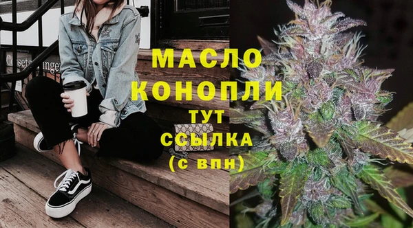 спиды Инта