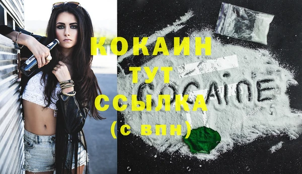 мяу мяу кристалл Иннополис